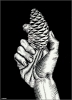 Hand with Fir Cone