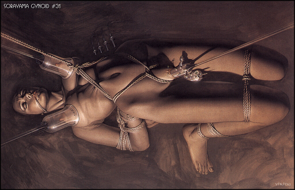Sorayama Gyniod #31