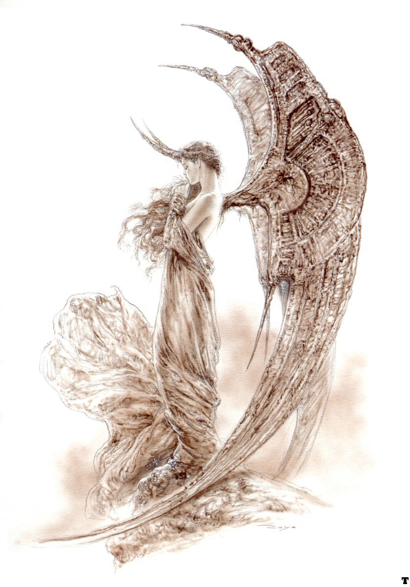 Millennium 005