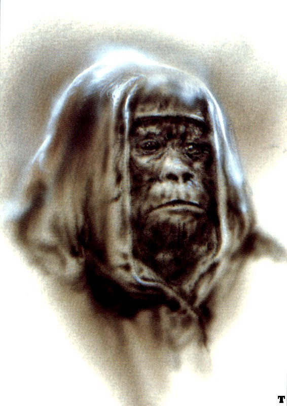 Millennium 016