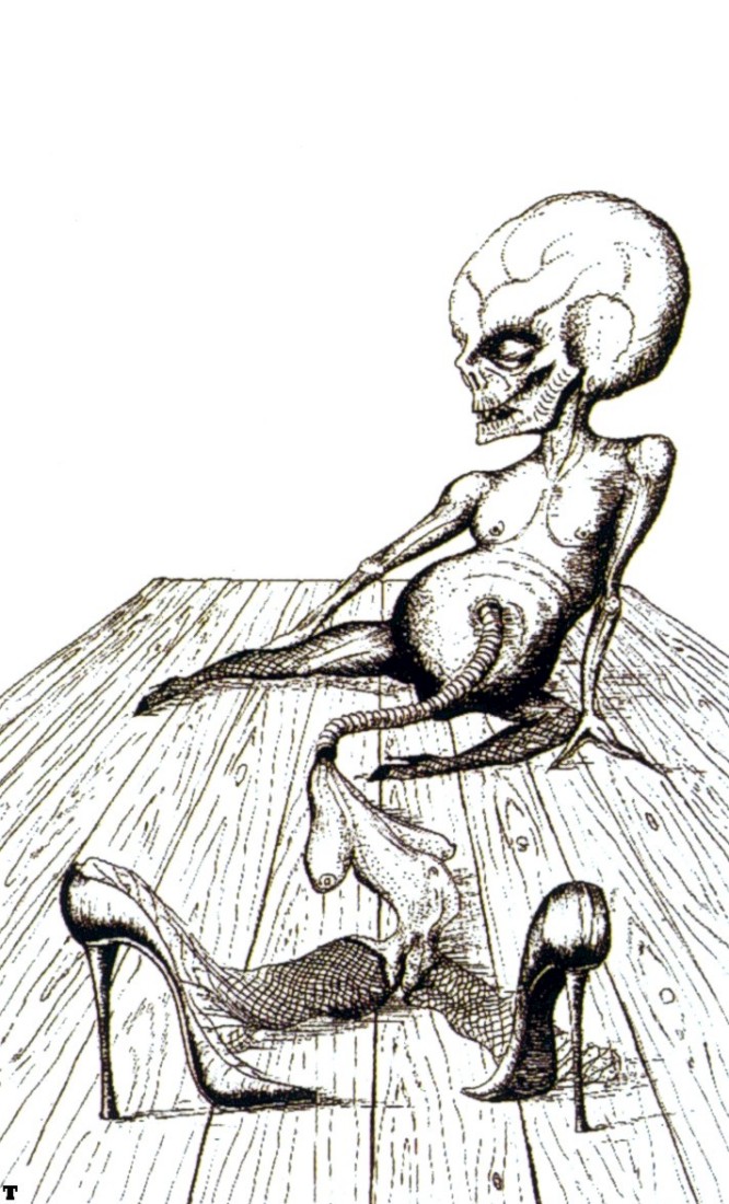Misc 29