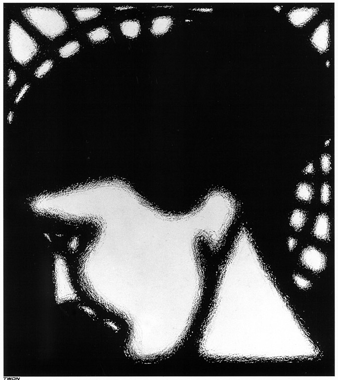 Escher 1