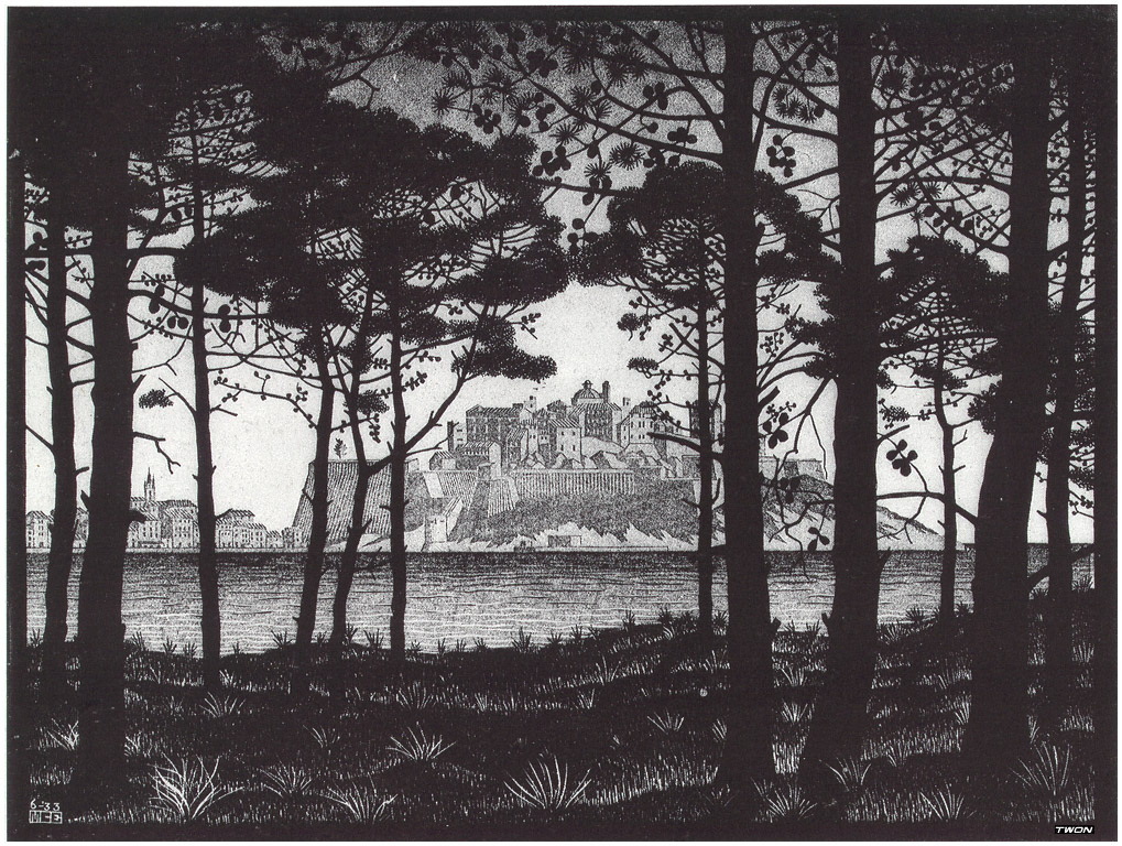 Pineta of Calvi Corsica