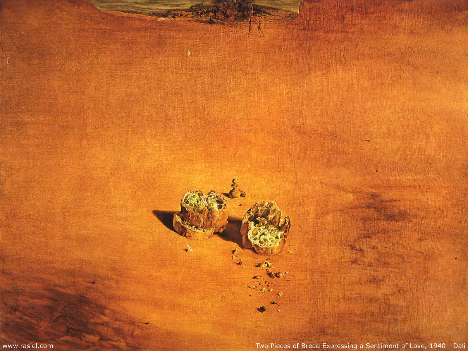 Salvador Dali 19