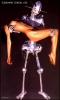 Sorayama Gyniod #21