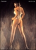Sorayama Pin-Up #146
