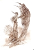 Millennium 005