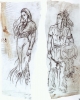 Evolution5