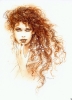 Norma 2000