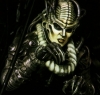Spider queen