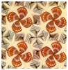 Shells and Starfish