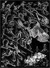 Scholastica Illustration page 21