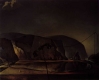 Salvador Dali 13