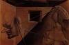 Salvador Dali 16